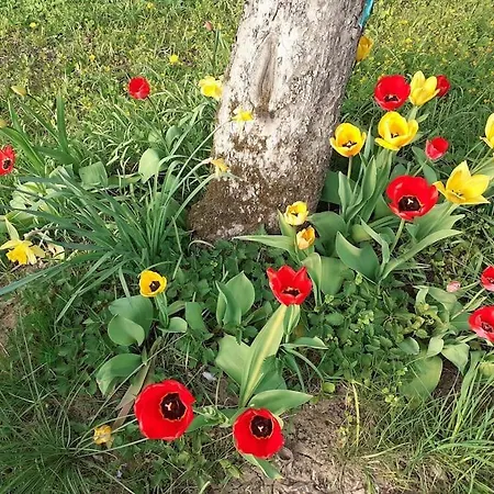 4 Km Zu A7 Und A71, Idylle Am Bach, Grosser Garten Euerbach Exterior photo