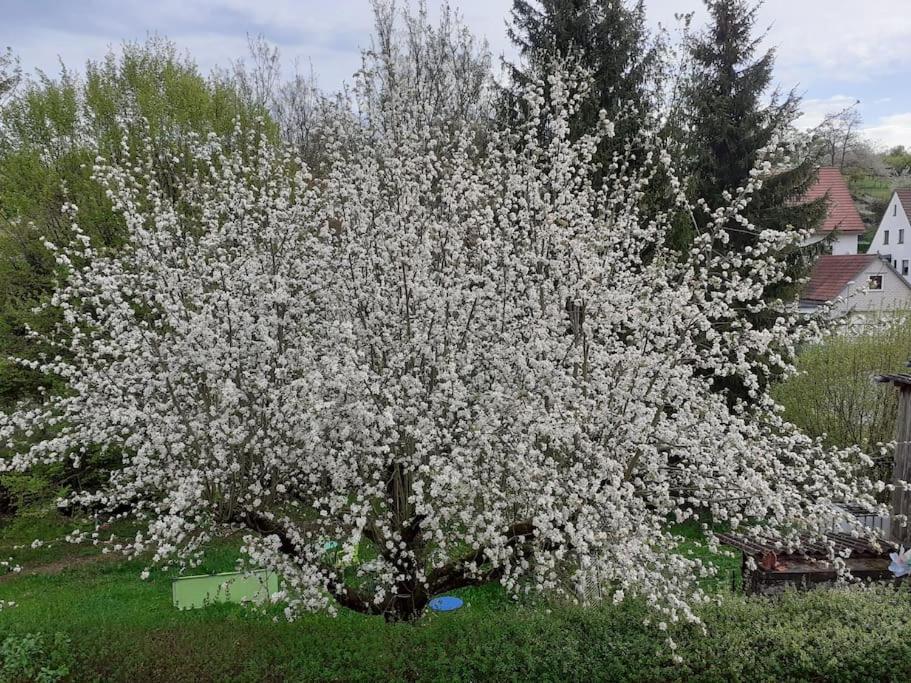 4 Km Zu A7 Und A71, Idylle Am Bach, Grosser Garten Apartment