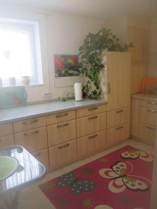Apartment 4 Km Zu A7 Und A71, Idylle Am Bach, Grosser Garten