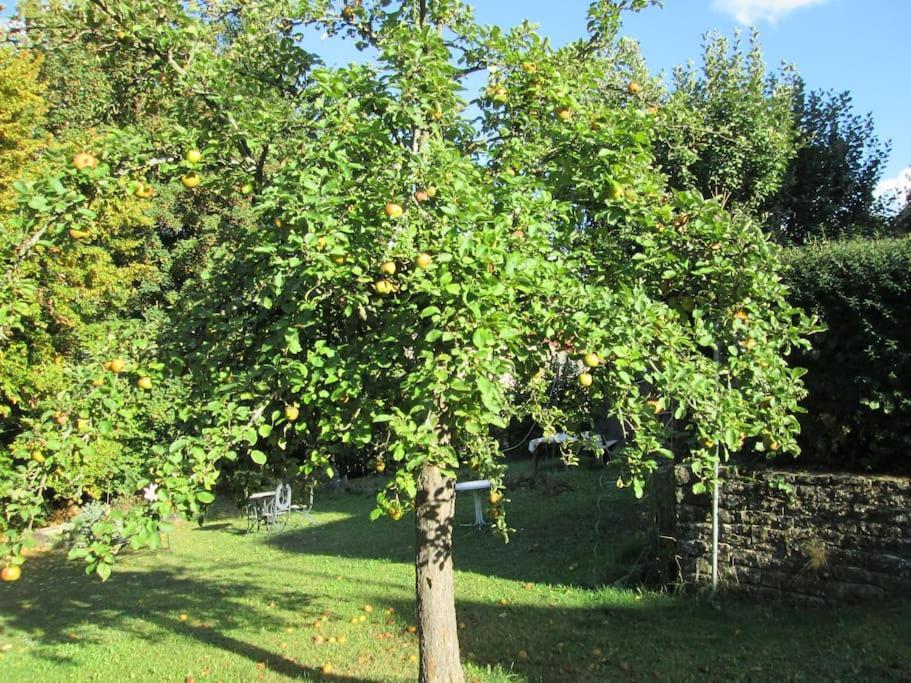 4 Km Zu A7 Und A71, Idylle Am Bach, Grosser Garten Apartment *