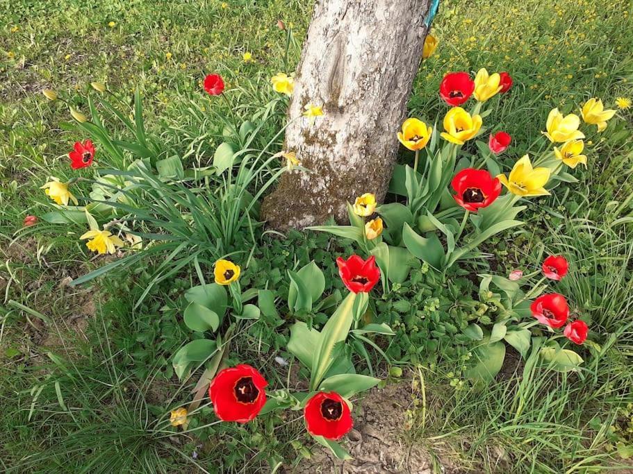 4 Km Zu A7 Und A71, Idylle Am Bach, Grosser Garten * Euerbach
