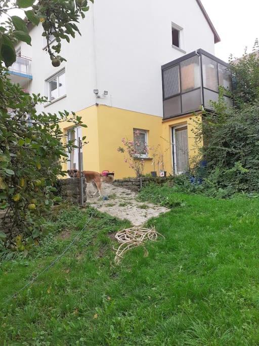 Apartment 4 Km Zu A7 Und A71, Idylle Am Bach, Grosser Garten Euerbach